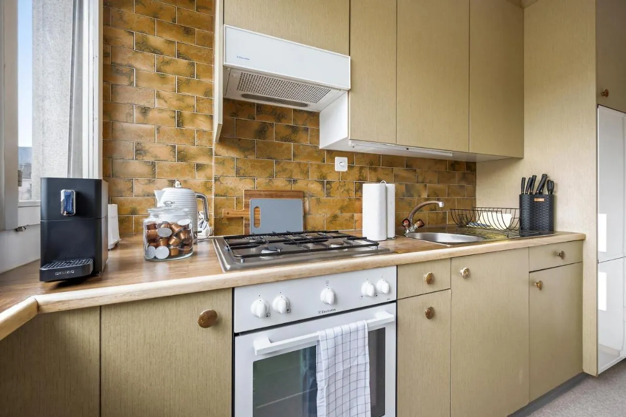 Central Apartment For City Explorers 224 Zurigo